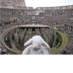 colluseum