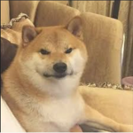 E :]