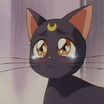 Little Kitty's!