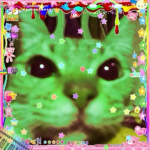 glor!f!ed