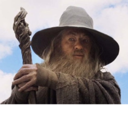 Gandalf Music Guy