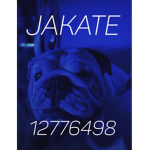 Jakate タ