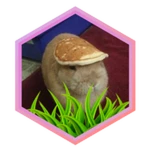 caption=Badge