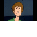Elite Army Of Shaggy