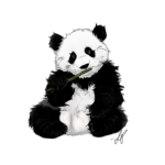 Army of Pandas (AOP)