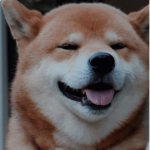 The only doge army