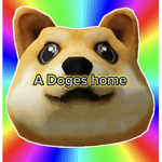 A doges home