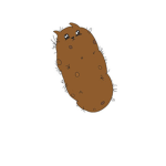 The Hairy Potato Cat Group