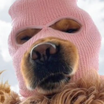 BallNChain