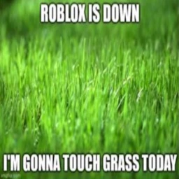 Touch grass icon
