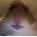 Thecobraboyy