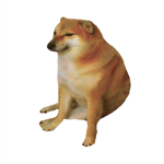 The doge fan group!!!:)