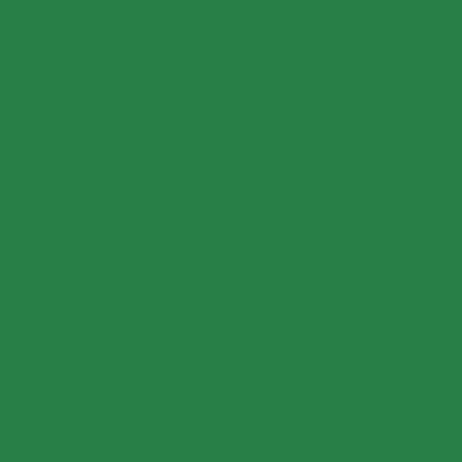Dark green Roblox decal