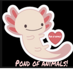 Pond Of Animals!