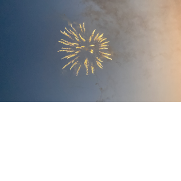 Work at a Panda Ice Cream Parlor!