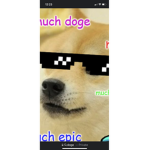 GDoge clan