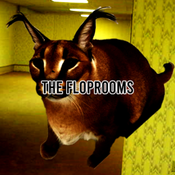 The Floprooms