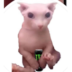 congrats on ur robux