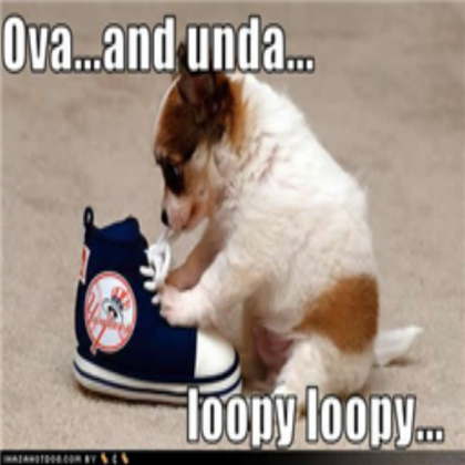 LOL Dog Roblox decal