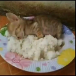 me pica el coco