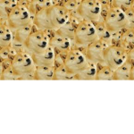 The Doge Raiders Gang