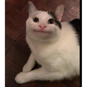 (Stage BARU!) Obby Beluga!