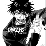 彡 SAIKEYO