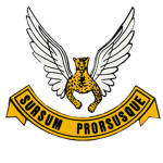 2 Squadronᅠ SAAF