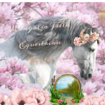 Magnolia Fields Equestrian Center