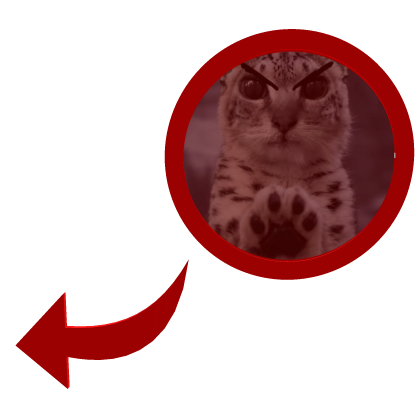 Angry Snow Leopard Hi Cat