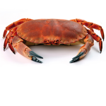 Da Crab Nation