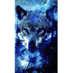 cool wolfs group