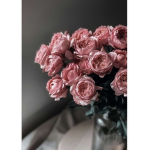 Pink soda group