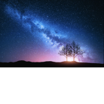 NightFallPlayez
