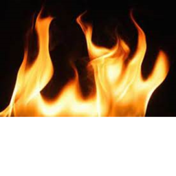 Tern's Fire City Showcase {ALPHA}