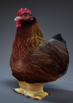 Patricia clan