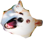 robuxs copblolz its free