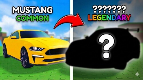 My Car Collection! 🚗