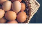 Friend Egg