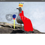The seagull king