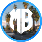 | CarDealer Group