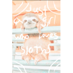 Slothie friends