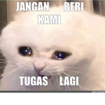 Gogas