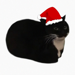 [EPIK CHRISTMASNESS] Maxwell's Domain