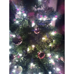 ~The Baddie Christmas Combat~
