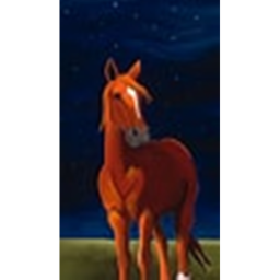 Stary Night Stables