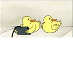 Save the epic ducks that are in danger