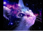 GalaxyKitten Army