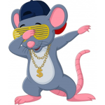 fruit salad rats