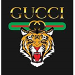 Gucci Clothing Store TM